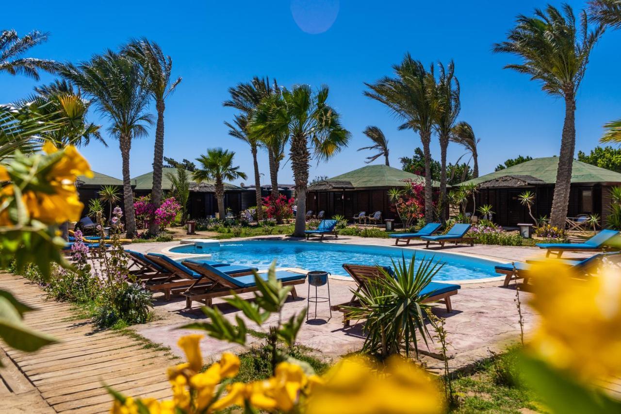 Lodge Abu Dabbab Lodge