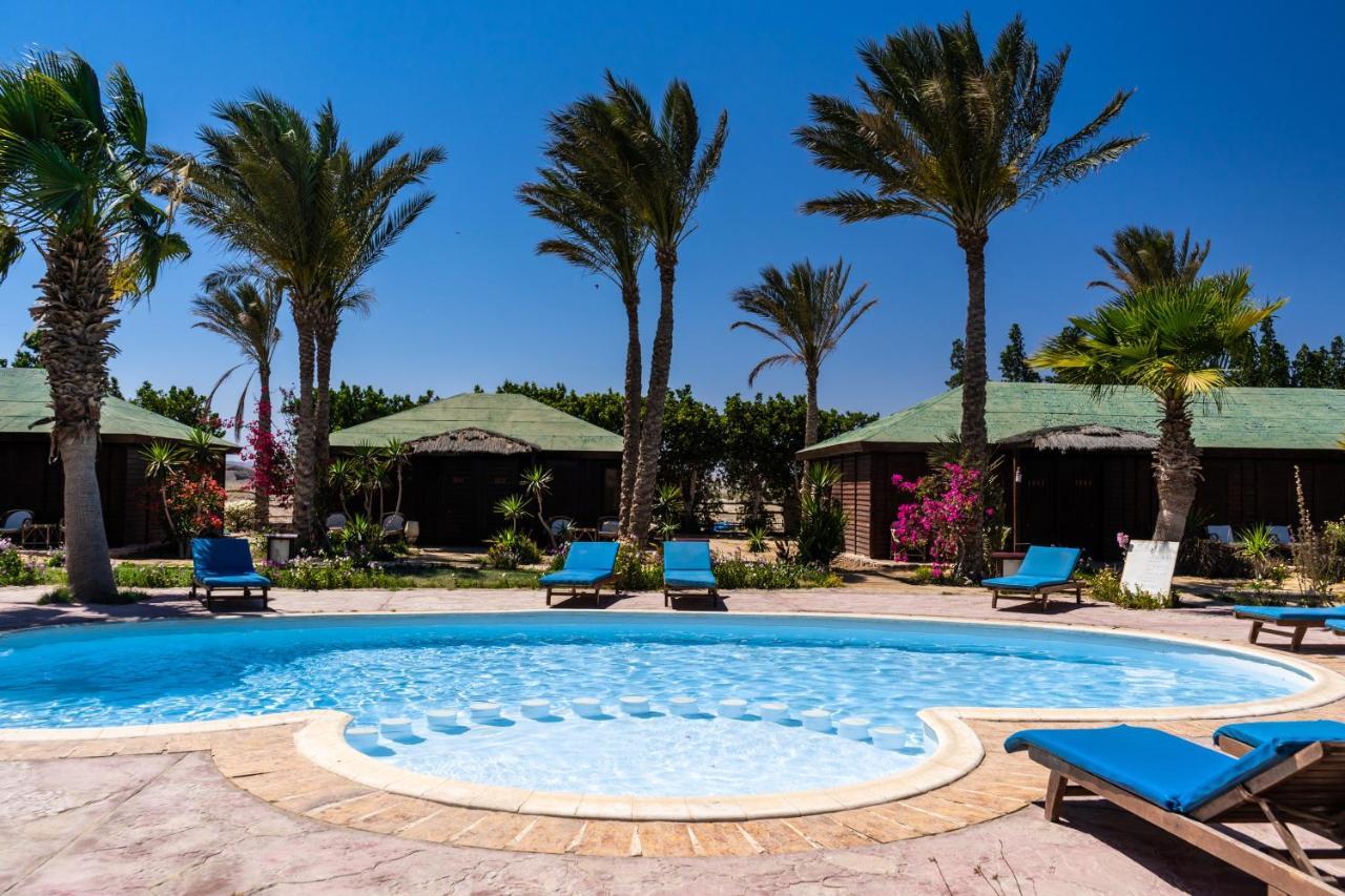 Abu Dabbab Lodge Lodge Abu Dabab