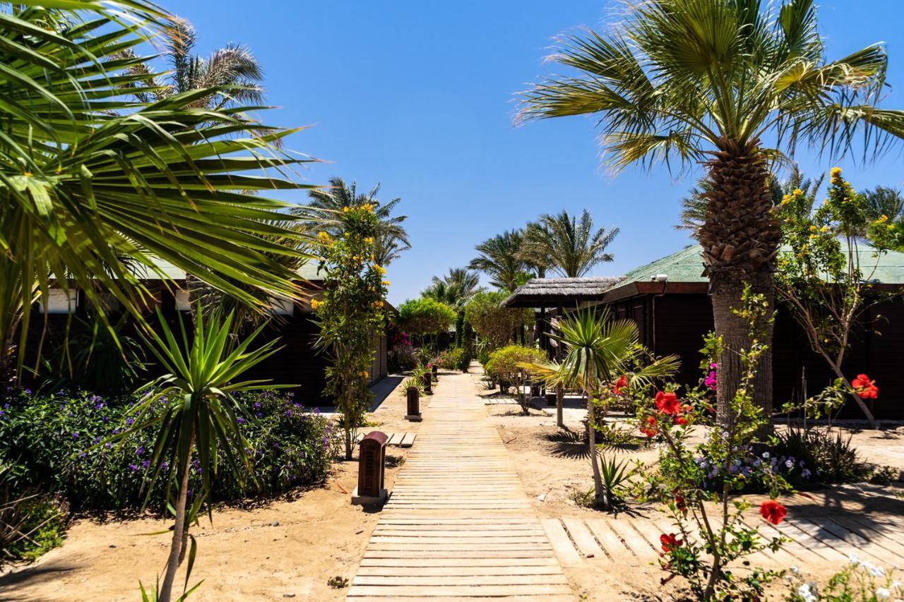 Lodge Abu Dabbab Lodge *