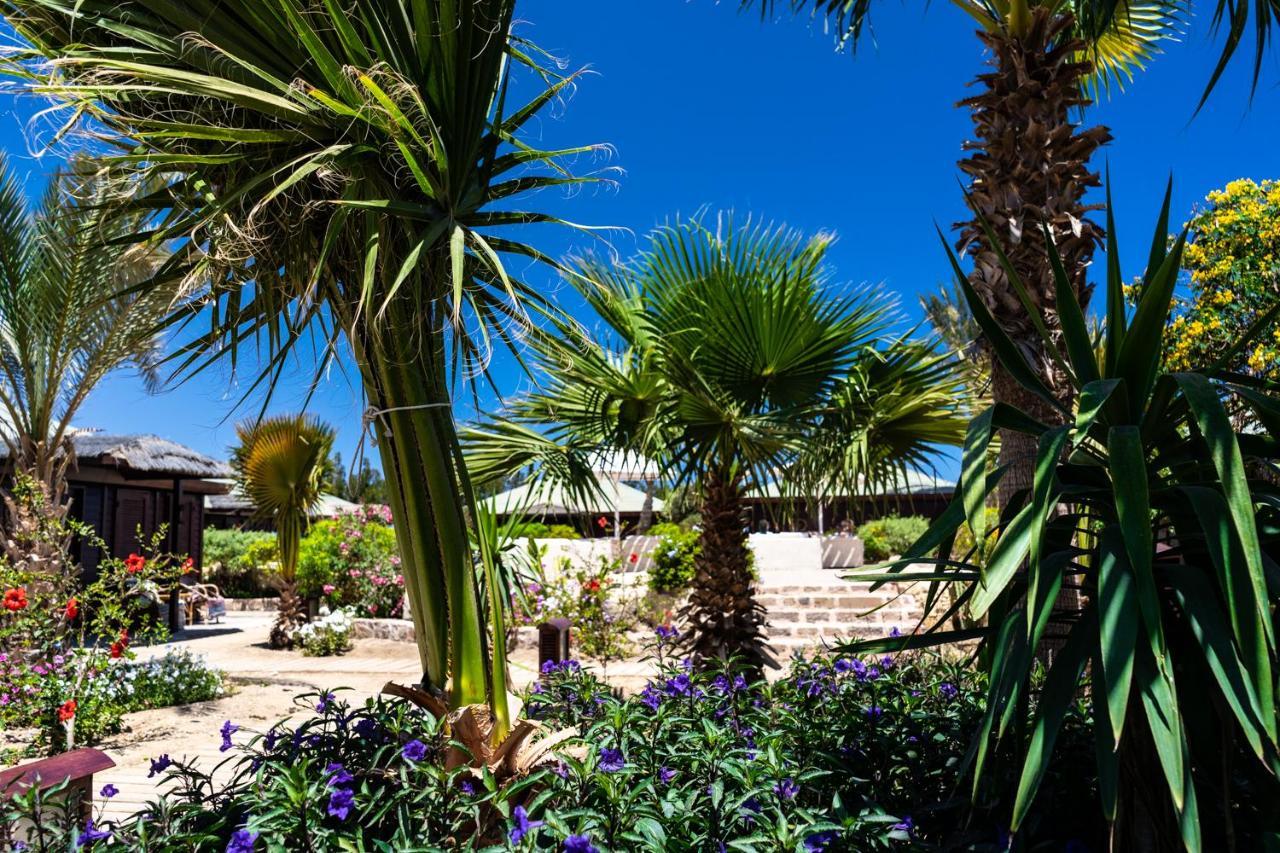 Lodge Abu Dabbab Lodge *