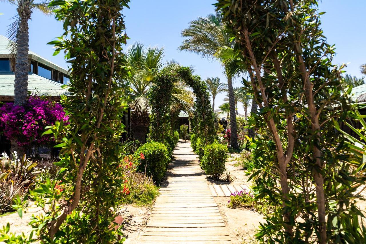 Abu Dabbab Lodge * Abu Dabab