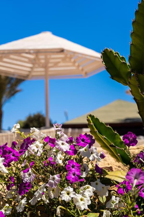 Abu Dabbab Lodge Lodge Abu Dabab